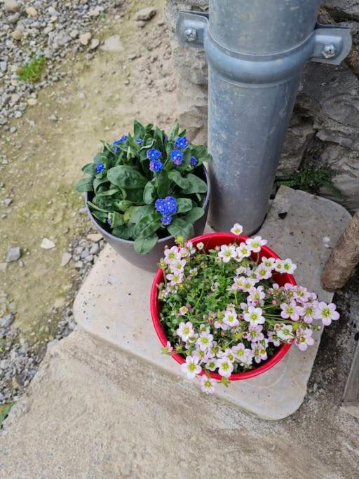 Appartement De La Laiterie Avec Petit Jardin. Eysus Eksteriør bilde