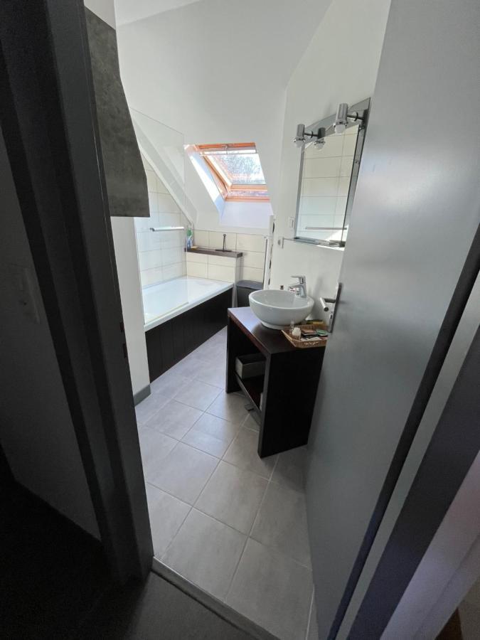 Appartement De La Laiterie Avec Petit Jardin. Eysus Eksteriør bilde